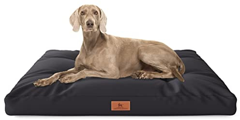 Knuffelwuff Hundekissen Gatsby aus Oxford-Gewebe 65 x 90cm Schwarz - rutschfeste Unterboden - leicht zu reinigen - für große, mittelgroße und kleine Hunde