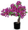 Arborus Künstliche Bougainvillea Kunstblumen Bonsai Drillingsblume im Topf Künstliche Blumen Violett Frühling Dekoblumen für Tisch Regal Frühling Deko Wohnzimmer Schlafzimmer Esszimmer Hotel