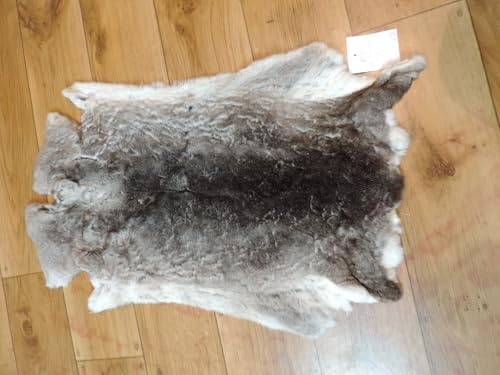 Provellus Premium Rex Kaninchen Felle Rexkaninchen Kaninchenfell Kaninchen Fell Hasenfell (Chinchilla Rex mit kleinen Fehlern)