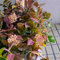 hoya pflanze samen - bienenweide saatgut, pflanzen für balkon wachsblume hoya samen schnittblumen, wildblumen samen mehrjährig kletterpflanzen winterhart schnellwachsend, 150pcs