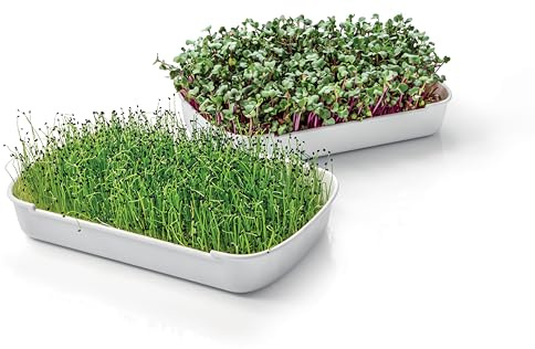 Tescoma Anbauset für Microgreens Keimschale Sense