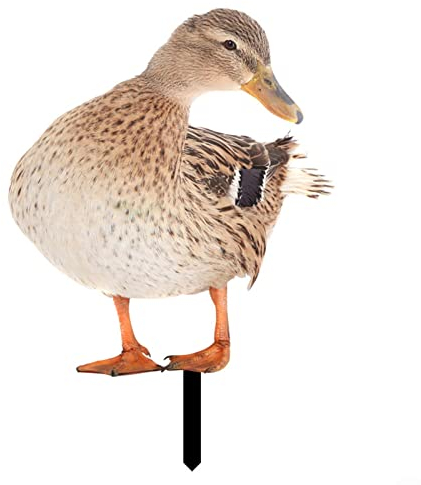 Ente Gartenstecker Gartendeko Huhn Gartenfiguren Gartenstatue Decor-C