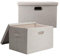 BinWhiz 2 Stück Aufbewahren Boxen mit Deckel Stoff, Stoffwürfel Organizer, Faltbare Aufbewahrungsbox mit Griffen, Waschbare Aufbewahrungsbox für Kleidung, Bücher, Kosmetik, Beige, 43 x 31 x 28 cm