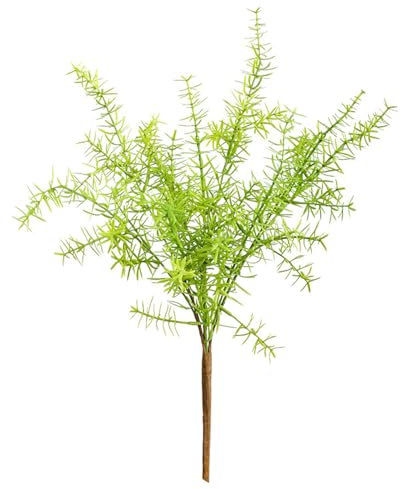 OKOVO Helechos Artificiales de malezas acuáticas, 47 cm de Longitud, Algas Marinas, helechos de plástico, malezas acuáticas, decoración de acuarios, Plantas, Decoraciones de peceras,