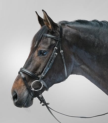 WALDHAUSEN Star Trensenzaum Lifestyle