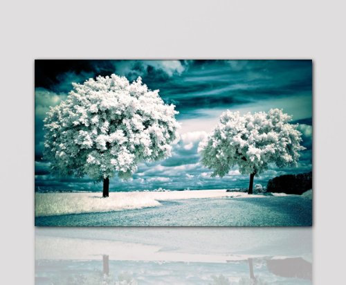 Winter-in-Summer100x60cm Modernes Wandbild als Kunstdruck auf Leinwand Keilrahmenbild