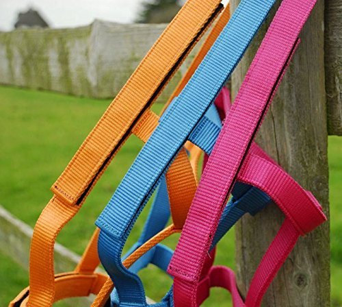 Rhinegold 30 DE Field Safe Halfter, Shetland-Himbeere