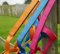 Rhinegold 30 DE Field Safe Halfter, Shetland-Himbeere