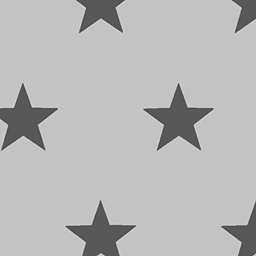 HEKO PANELS Stoff Oxford Wasserdichte Meterware CanvasPolyester Stoff Zum Nähen Nähstoffe Möbelstoffe Dekostoffe Handwerken Wasserabweisend Blickdicht Sterne Grau Anthrazit 100 x 150 cm…