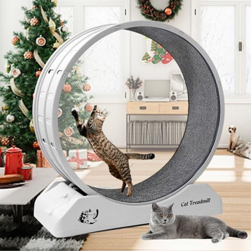 Laufrad für Katzen, Laufräder für Katzen im Innenbereich, Laufband für Katzen mit Teppichboden, Laufrad für Katzen für tägliches Training und Gewichtsverlust, Laufrad für Katzen aus Kunststoff