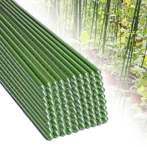 Grüne Metall Gartenpfähle 4 FT,Stabile Pflanzensäulen für Tomaten Bäume Gurken Zäune Bohnen,Rostfreies Kunststoffbeschichtetes Stahlrohr für Topfpflanzen Erdbeer Gemüse(Size:47in,Color:100PCS)