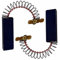 Lot de 2 balais de charbon pour moteur machine à laver Bosch Maxx 7 VarioPerfect env. 5 x 12,5 x 36 mm