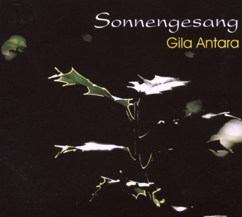 Song Rise Music (Silenzio)