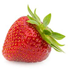 20 Verdi Erdbeerpflanzen - Frigo Pflanzen - Pflanzzeit: März/April - Ernte: Juni - Erdbeersetzlinge/Erdbeerstecklinge - Erdbeerprofi.de