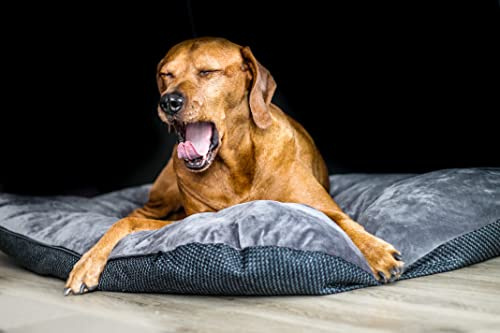 Lebon - Orthopädisches Hundekissen Hundebett Jolie - Dick gefülltes Kuschelweiches Kissen in 4 Größen 60cm, 80cm, 100cm und 120cm - Mit Reißverschluss und waschbar Hochwertig und robust (XL)