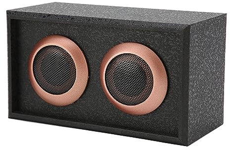 Heimkino Regallautsprecher Aus Holz, Verlustfreier Hifi Sound, Feiner und Dynamischer Klang, Subwoofer Lautsprecher, Plattenspieler Lautsprecher für Phono, Desktop, TV (160 X 90 X 76 Mm)(Schwarz)