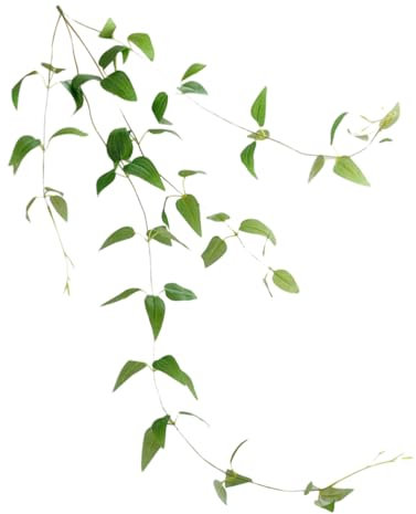 PRETYZOOM 1 x Rattan-Hochzeitsbogen-Dekoration, künstliche Seidengirlande, künstliche Clematis, grüne Kranz, grüne Pflanzen, Lichthausdekorationen für Zuhause, Blume, Wand, Haushalt, Eisen
