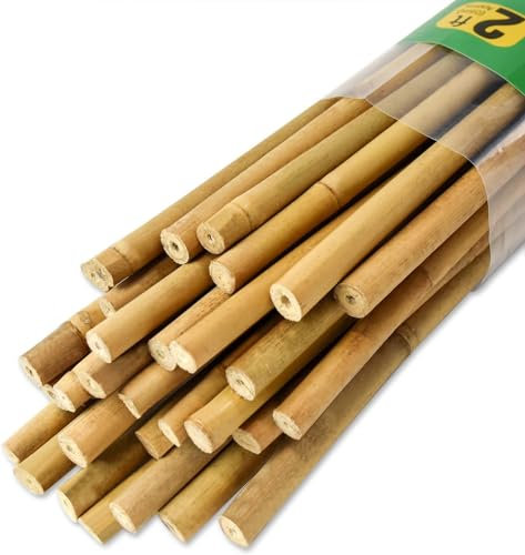 Jollybower Lot de 30 piquets en bambou épais de 0,9 cm d'épaisseur, piquets de jardin naturels pour tomates, haricots, fleurs, arbres en pot et plantes grimpantes