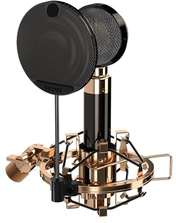 iCON Pro Audio Aurora Microphone à condensateur cardiaque, plage dynamique de 125 dB, boîtier en métal
