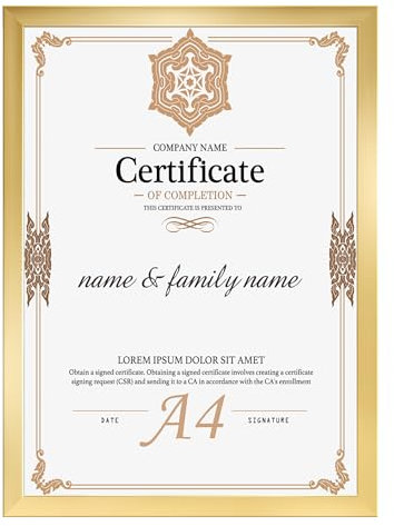 Ditwis Bilderrahmen A4 Gold, Rahmen DIN A4 für 21x29,7 cm Zertifikate, Urkunde, Kunstwerke und Fotos, Modern Fotorahmen für Wohn-, Schlaf- und Büroräume