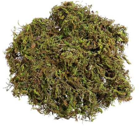 Toyvian Artificial Green Moss, 60g Faux Plant for Indoor Plant Pots, Patio & Planter Decor, Fake Grass for Floral Arrangements, Crafts, Arts & Landscaping