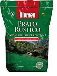 Sementi Prato Rustico 5 kg + 1 kg omaggio - Resistente e Robusto