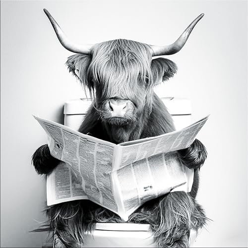 artissimo, Glasbild, 50x50cm, AG5584A, schwarz-weiß Foto: Hochlandrind mit Zeitung auf Toilette, lustige Tiere im Bad, Wanddekoration aus Glas, Wandbild modern