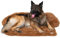 pfoten&nasen® Hundebett Sofa [Braun, M - 90x80cm], Sofabett Hund, Sofaschutz Hund, Wasserdicht Hundematte Waschbar, Hundekissen für Große, Mittelgroße und Kleine Hunde, Hundesofa.