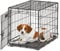 MidWest Homes for Pets Life Stages Modell 1624 Hundebox, klein, Einzeltür, faltbar, Metall, 61 cm lang, mit Trenneinsatz, Bodenschutz, auslaufsicherer Wanne, für kleine Hunde, schwarz