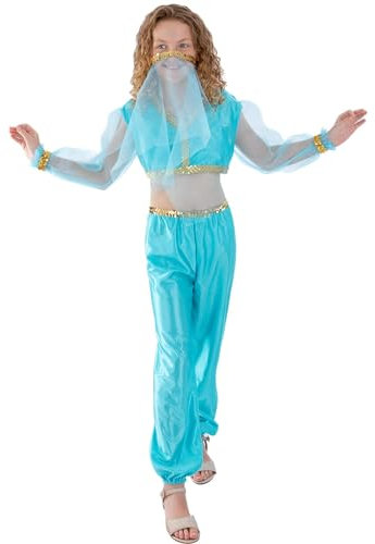 Arabian Princess Costume (L)