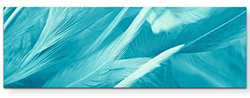 Paul Sinus Art Leinwandbilder | Bilder Leinwand 120x40cm türkise Federn