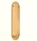 Infinity Decor Polished Brass Victorian Design Shaped Finger Push Plate Protector 300 x 75mm - for Interior or Exterior Door