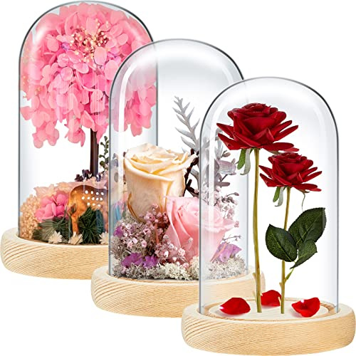 Glasglocke, Vitrine mit Massivholzsockel, transparent, für Heimdekoration, Handwerk, Pflanzen, Licht, 20,3 x 11,9 cm, 3 Stück