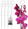 KOTARBAU® 4er Set Pflanzenstütze Transparent PVC 39 cm Blumenstütze Rankhilfe Zimmerpflanzen Blumenstütze Garten Orchideenstab Stützstab Pflanzen dekorative Pflanzenhalter Zimmerpflanzen Rankstäbe