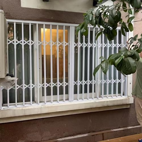 Reja Ventana Barras de Seguridad Plegables para Ventanas de Balcón, Reja Antirrobo Extensible para Ventanas con Cerradura, Rejilla de Seguridad Metálica Resistente(W30xH30in/75x75cm)