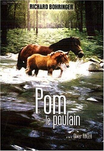 Pom le poulain [FR Import]