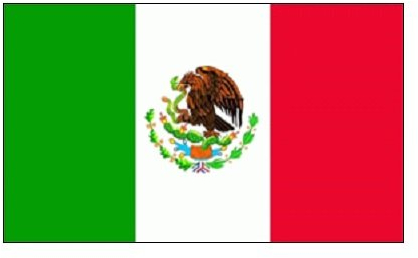 TS24DIREKT Mexiko Fahne/Flagge 90 x 150 cm