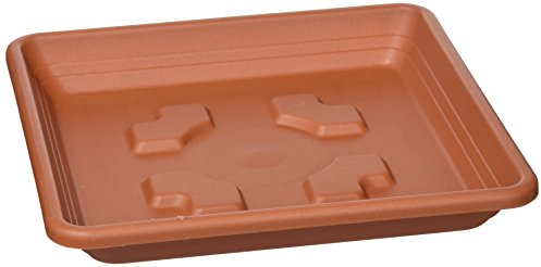 Nicoli BLIM Quadratischer Unterteller für Blumentopf