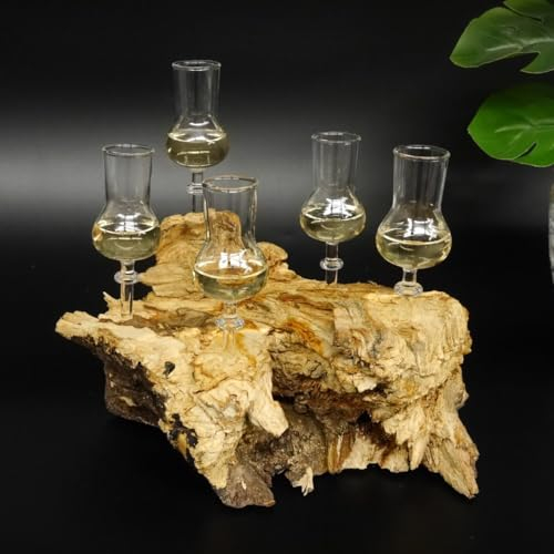 GTK Geweihe & Trophäen Krumholz Schnapsanbieter 5 Gläser mit Stiel auf Wurzel Steckglas Set Schnaps Geschenk Neu 27.60.1.22