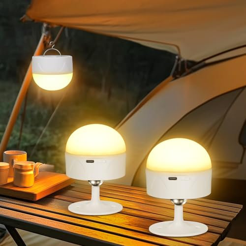 Dehobo Lampadina Ricaricabile USB-C con Telecomando - E27 Lampadine a Batteria Senza Fili 9W 12 Colore Dimmerabile - Magnetica LED Lampada con Funzione di Timing Luce di Emergenza 2 Pack