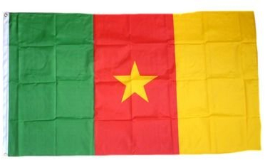 Fahne/Flagge Kamerun NEU 60 x 90 cm Fahnen Flaggen