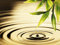 1art1 Wasser Poster Wasserkreise, Ein Tautropfen Fällt Von Bambusblättern Kunstdruck Bild 80x60 cm