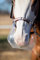 KM Elite ThinLine Flexible Filly Grazing Muzzle - Soft Light & Durable Protect from Overeating (Medium)