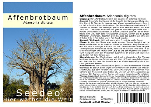 Seedeo® Affenbrotbaum (Adansonia digitata) 6 Samen