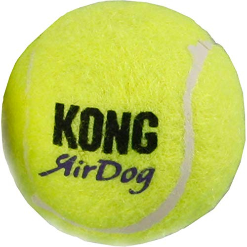 Kong - Squeakair Tennisball Multipack - Hundespielzeug - 1 Stück