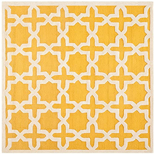 SAFAVIEH Cambridge Collection CAM125Q Teppich, quadratisch, handgefertigt, marokkanisch, Premium-Wolle