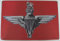 Tin Metal Sign Plaque Bar Pub Vintage Retro Wall Decor Poster Home Club Tavern Wall Door (30 x 20 cm) - UK Company (157 - Para Logo)