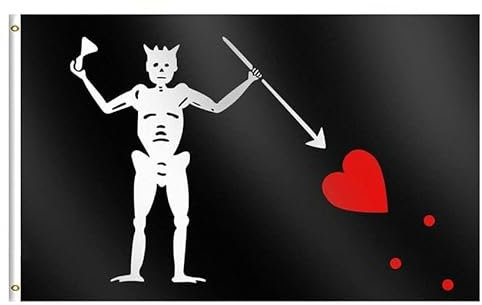 Edward Teach Blackbeard Piratenflagge, bestickt, doppelseitig, 100 % Nylon, Queen Anne's Revenge Outdoor, UV-beständig, 3-lagig, Jolly Roger