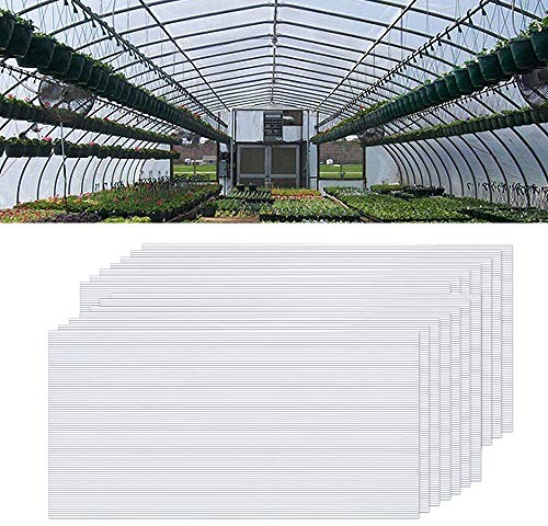 NAIZY 14 policarbonato alveolar, 4 mm | Láminas de Repuesto para Invernadero de Doble Pared de 10,25 m2 (60,5 x 121 cm) - TransPrincipale