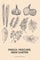 Frisch, Frischer, Mein Garten - Gartenplaner: Gartentagebuch für Gemüse und Kräuter | 110 Seiten | Taschenbuch Format (ca. DIN A5)